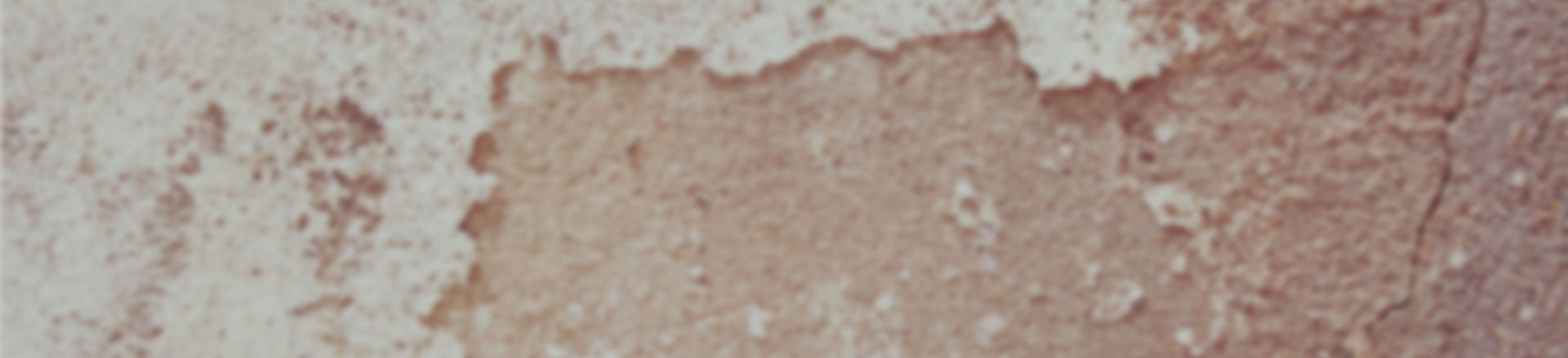 安全发货保障的攻击网站在线工具